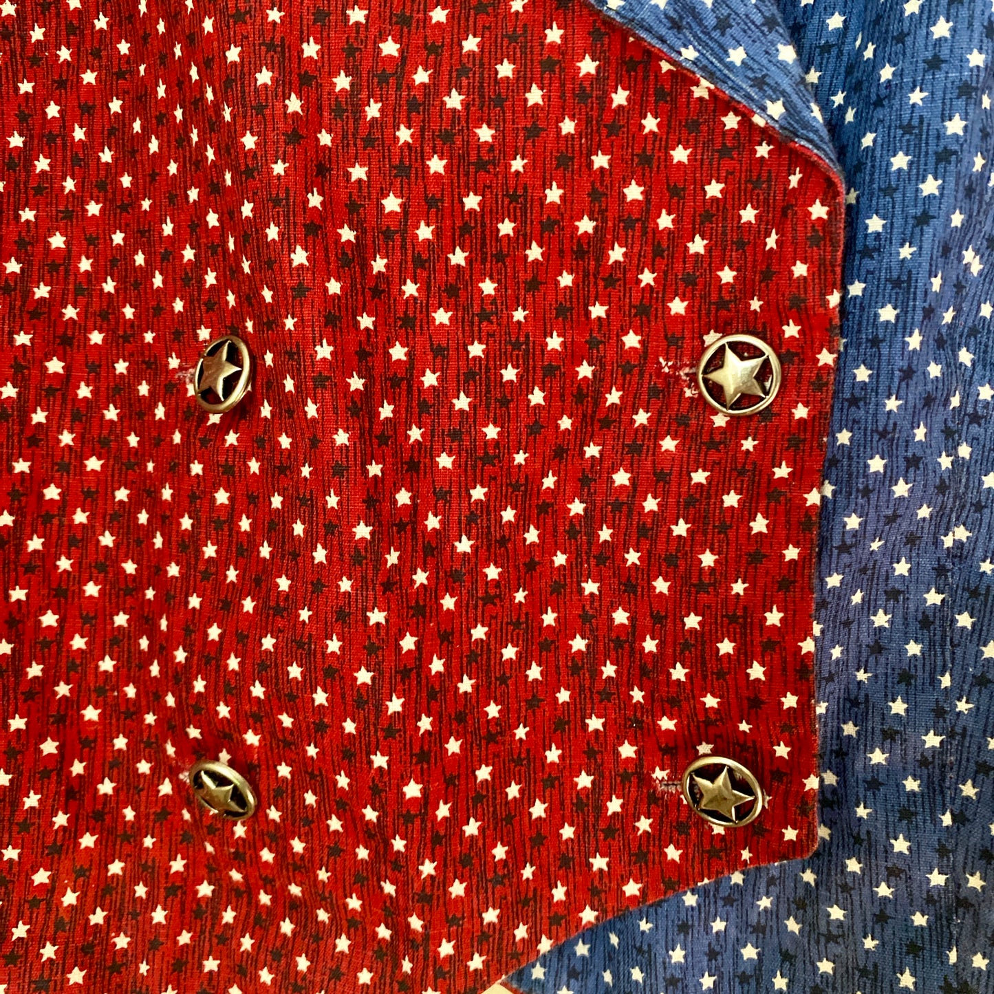 VINTAGE SWEETHEART OF THE RODEO WESTERN SHIRT