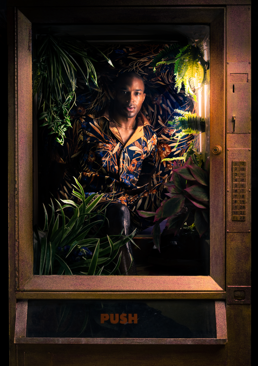 PINEBARREN BERMUDA SHORTS