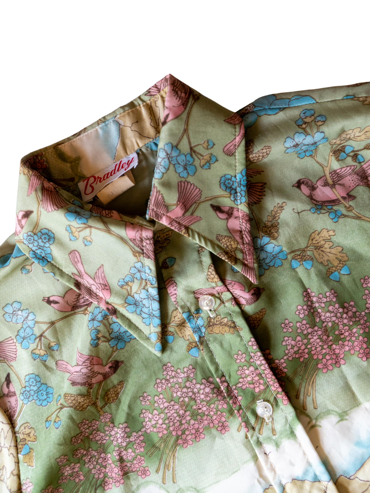 Pastoral Melody: 1970s Scenic Print Button-Down