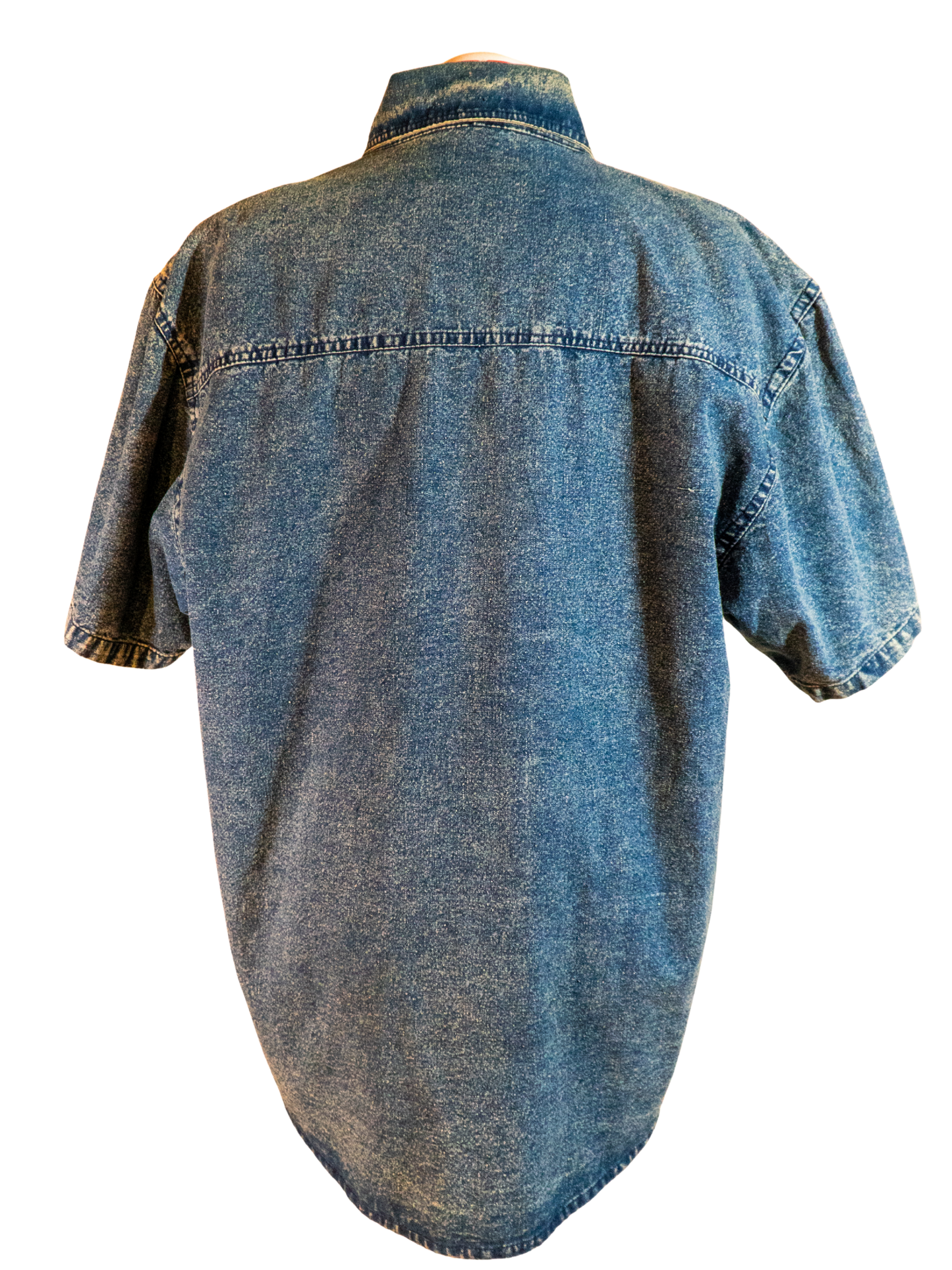 Stargazer Rodeo: Embroidered Denim Western Shirt