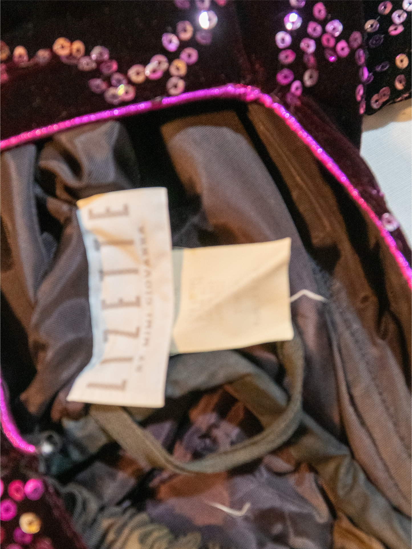 Ame-thirst trap: Velvet Sequin Mini Dress