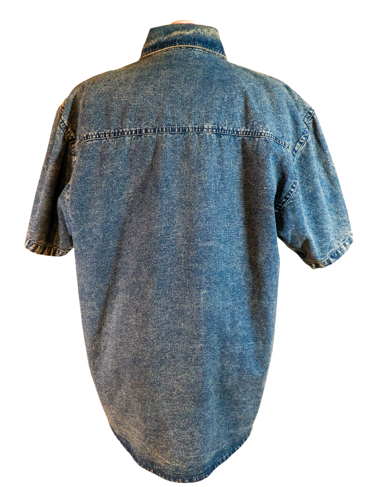 Stargazer Rodeo: Embroidered Denim Western Shirt